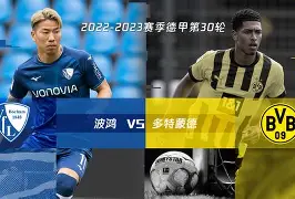 九游体育下载-纪录片韩胜利后续