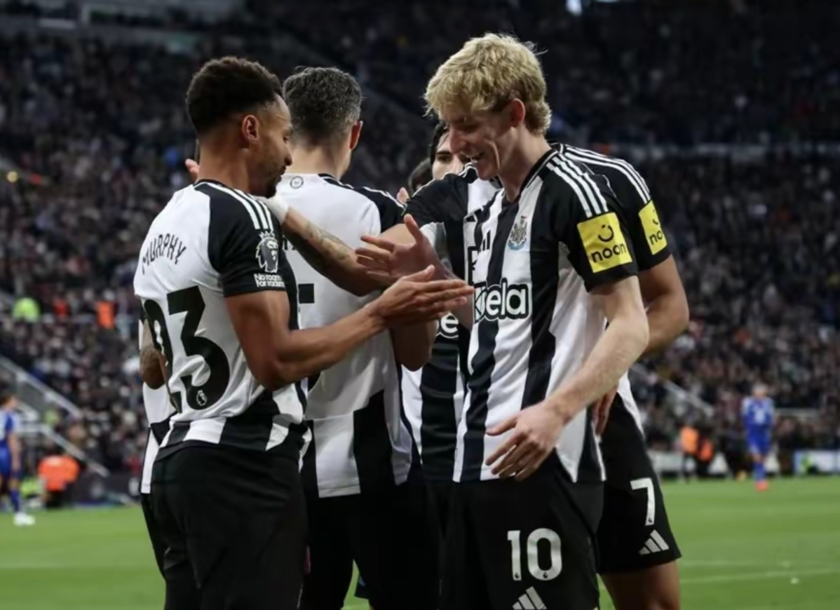 亨利卡维尔24厘米