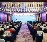 乌迪内斯的比赛动图 乌迪内斯的比赛动图